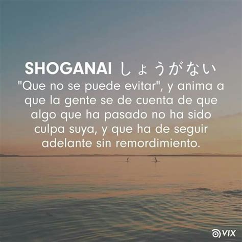 shoganai significado|Street Japanese 02